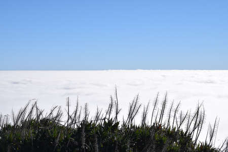 Above the clouds - Gorgeous view from the top often the Pico do Arieiro, Madeira, Portugal