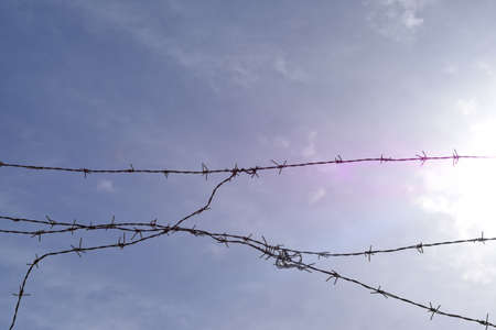 Barbed wire in front of a deep and sunny blue skyの写真素材