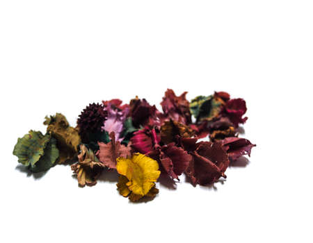 flowers fragrant all color isolated on white backgroundの写真素材