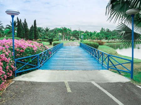 The bridge blue connect to The way empty in the park with tree for exercise and relaxの写真素材