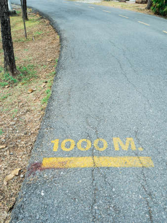 The way empty in the park with tree for exercise and relaxの写真素材