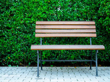 Wooden bench and green leaves wall backgroundの写真素材