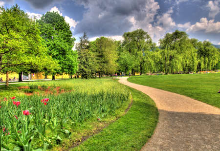 landscape photo of a park in salzburgの写真素材