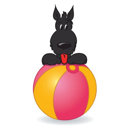 A funny dog sitting on the ball illustrationのイラスト素材