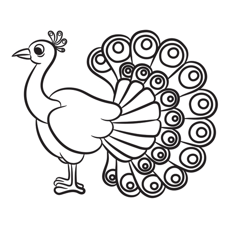 Illustration of outlined peacock bird on a white background. のイラスト素材