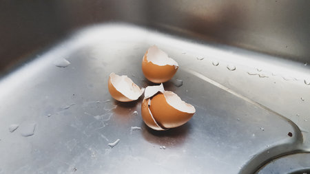 Broken Egg Shells In Sink