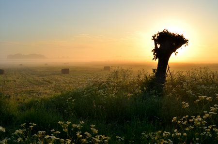 Sunset over a meadow with haystacks in the foregroundの写真素材