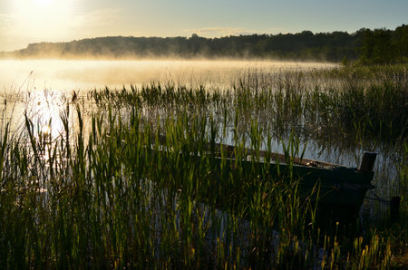 Foggy morning on the lake in summer with a boat.の写真素材
