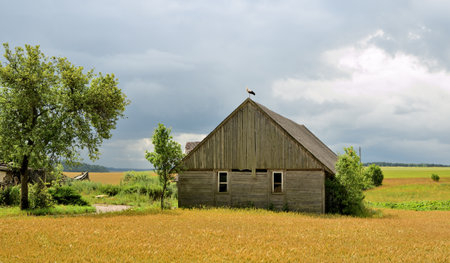 Old wooden house in the field with a cloudy sky in the background