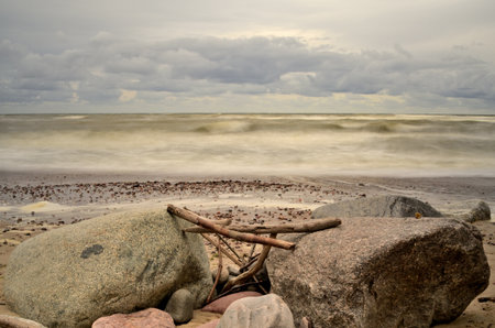 Coast of the Baltic sea with rocks and driftwood in the foregroundの写真素材