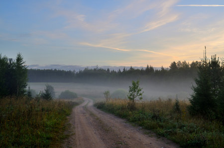 Dirt road in the forest at sunrise. Foggy landscape.の写真素材