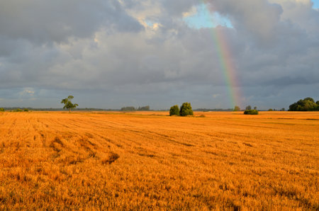 Rainbow over a wheat field after harvest in the countryside of Belgiumの写真素材