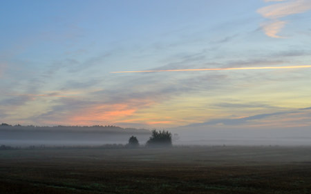 Foggy morning in the countryside. Sunrise over the field.の写真素材