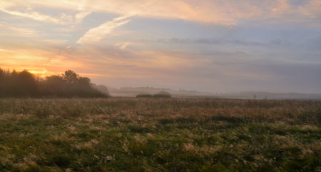 Sunrise over the meadow in a foggy autumn morning.の写真素材