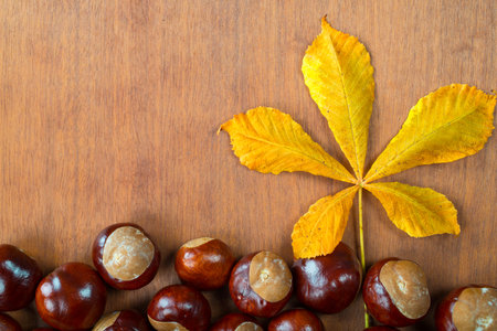 chestnuts with leaf の写真素材