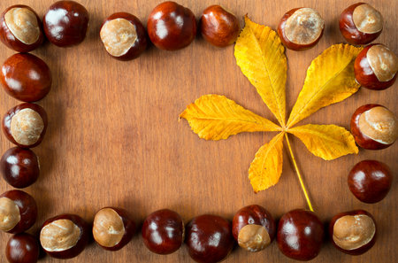 chestnuts with leaf の写真素材