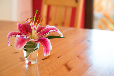 pink lily in little vase on wooden tableの写真素材