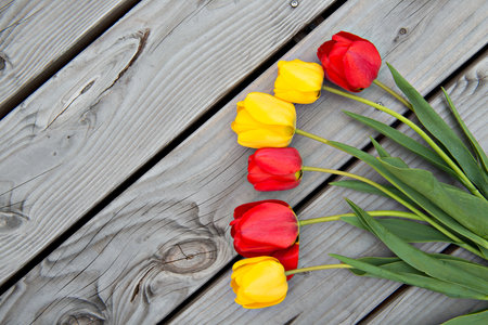 yellow and red tulips on wooden ground from aboveの写真素材
