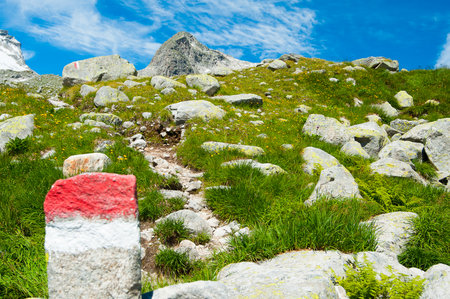 alps landscape,  trail mark front of  high mountain and blue skyの素材 [FY31086541862]