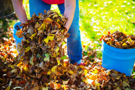 woman working in garden and dispose fall leaves