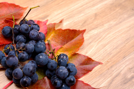 autumn still life- grapes and wine leaves on wooden groundの写真素材