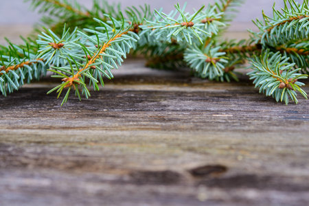 christmas sill with fir branch on wooden groundの写真素材