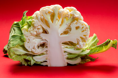 half cauliflower with leafs on red groundの写真素材