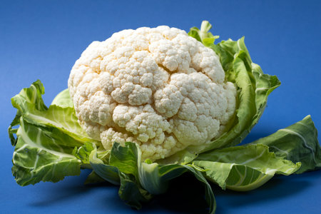 fresh cauliflower with leafs on blue groundの写真素材