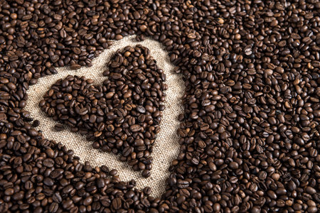  heart in a lot of coffee beansの写真素材