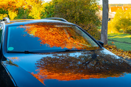autumn leaves- reflexion on a car windshieldの写真素材