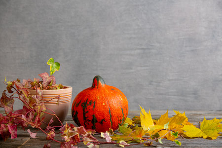 fall-still life with pumpkin, ivy and yellow maple leaves on wooden groundの写真素材