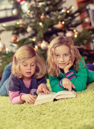 two blond girls reading a book  in front of christmas treeの写真素材