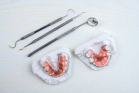 removable  brances and plaster model  on bright groundの写真素材