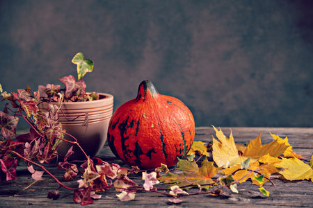 fall-still life with pumpkin, ivy and yellow maple leaves on wooden groundの写真素材