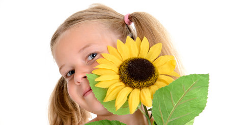 portrait of a little smiling girl with pigtails and sunflowerの写真素材
