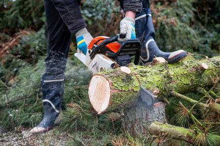 lumberman with worn chainsaw cutting woodの写真素材