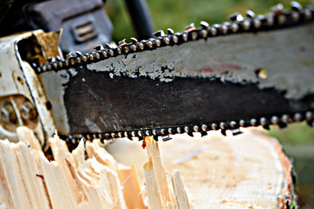worn chainsaw on fresh tree stumpの写真素材