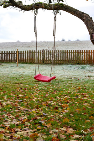 swing on tree in garden with autumn leaves on meadowの写真素材