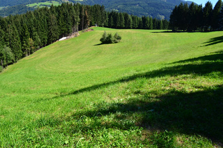 green hillの写真素材