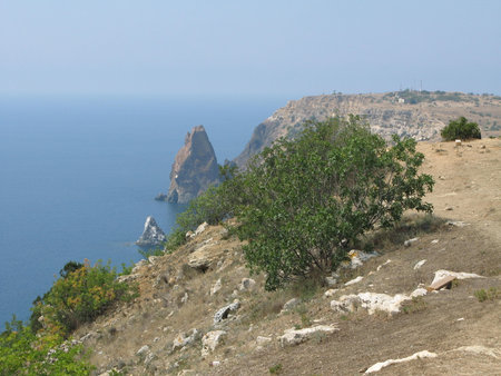 Neighborhoods city of Sevastopol, the Black Sea.の写真素材