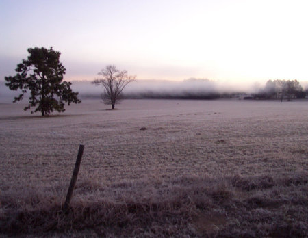 Frosty Morningの写真素材