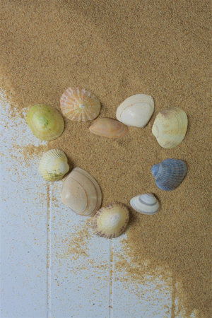 Heart Shaped shells on beach sand and woodの写真素材