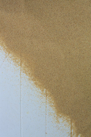Beach Sand and wood backgroundの写真素材