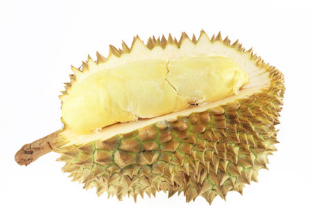 Close up of peeled durian isolated on white background  の写真素材