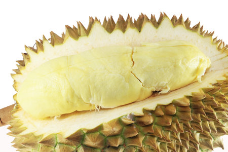 Close up of peeled durian isolated on white background  の写真素材