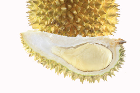 Close up of peeled durian isolated on white background  の写真素材