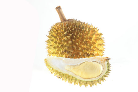 Close up of peeled durian isolated on white background  の写真素材