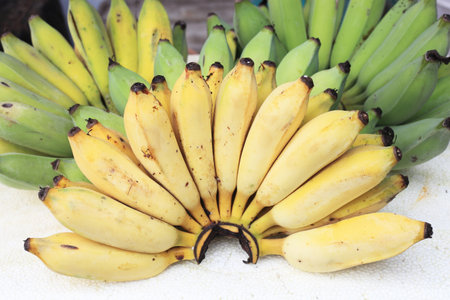 Cultivated Banana, Thai Banana  の写真素材
