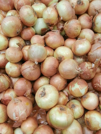 onions backgroundの写真素材