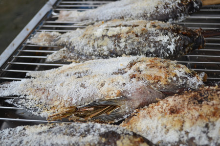 Grilled fishの写真素材